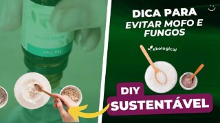 EVITE FUNGOS E MOFO COM PRODUTO CASEIRO | FAÇA EM CASA #DIY