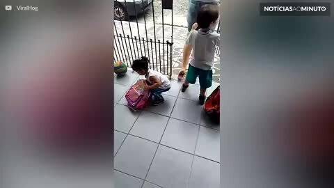 Criança tenta levar cachorrinho para a escola dentro da mochila