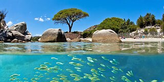 Corsica island France