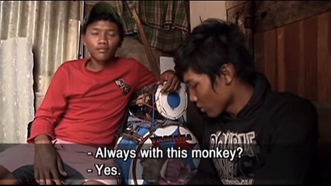 Monkey Business - An Eye-Opening Look into the Lives of Jakarta's 🇮🇩 Performing Monkeys