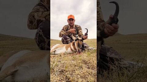 Opening Day Wyoming Pronghorn Antelope Success!