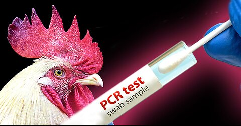 „Ogłoszenie stanu nadzwyczajnego” HHS w związku z ptasią grypą otwiera drogę do testów PCR