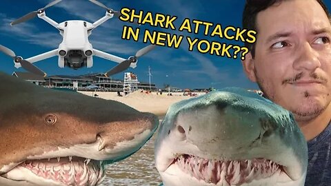 Multiple People Bitten In New York Shark Attacks??