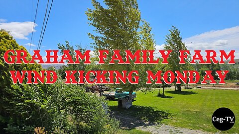 Graham Family Farm: Wind Kicking Monday