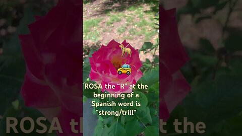 Roll your Rs in Spanish. Rosa & perro/pero carro/caro #learning #trill #spanishword