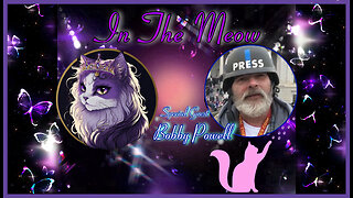 In The Meow | With Special Guest Bobby Powell