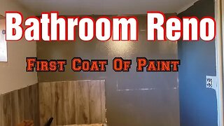 Bathroom Reno ( Paint )