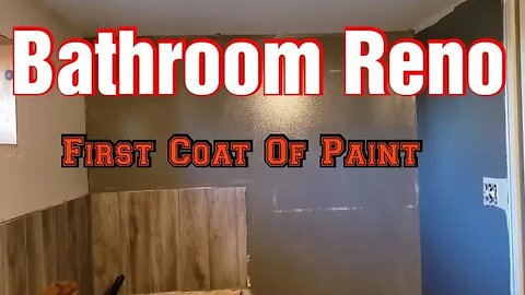 Bathroom Reno ( Paint )