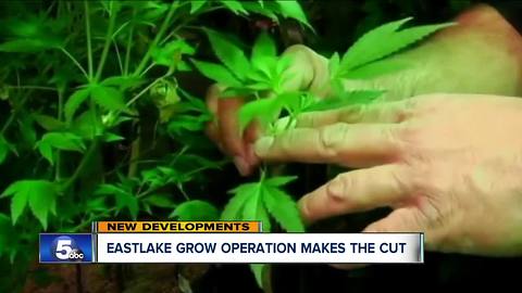 6 Northeast Ohio applicants receive license to operate large medical marijuana growing facility