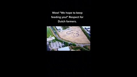 Dutch farmers protest