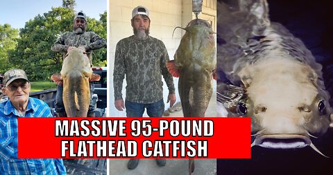 Monster Catch! 95-Pound Catfish Shatters Oklahoma Record!