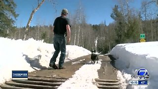 Man survives blizzard, credits his dog and friends for saving his life during howling 'bomb cyclone'