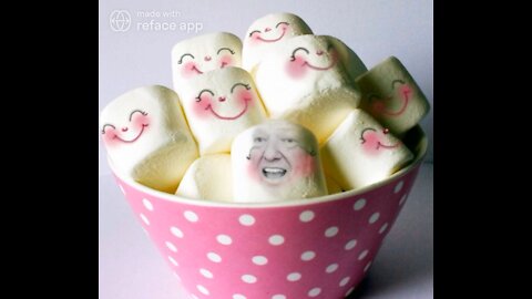 The Ultimate Donald Trump Marshmallow Meme!