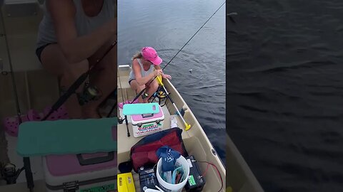 South Florida Snook'n | #shorts #fishing #gonefishing