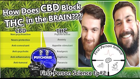 How Does CBD Block Side Effects of THC? | Highs & Lows of Potent Cannabis Use. FPS #2