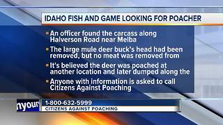 Idaho fish and Game asks for the public's help in poaching case