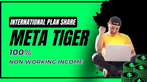 Meta Tiger International Plan Share