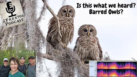 JFree906 - Bigfoot Hunt - Spectrum Analysis of the Bird Sounds