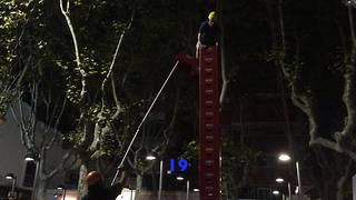 Beer crate climber reaches astonishing height