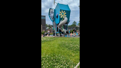 BradKuz76 Tomrik bubbles at Lincoln Children's Zoo