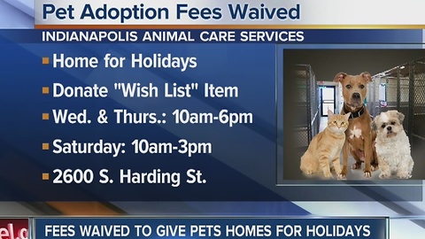 Indianapolis shelter offering free adoptions