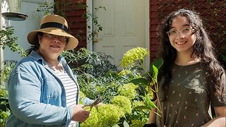 Hydrangea Flower Cutting and Tearing Down the Secret Garden