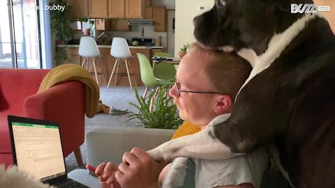 Rescue Pitbull Shows Owner How Much He Loves Him