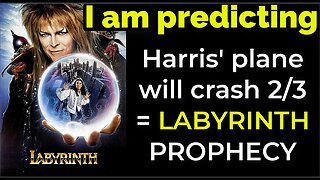 I am predicting: Harris' plane will crash on Feb 3 = LABYRINTH PROPHECY