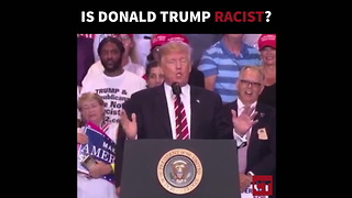 Is Donald Trump Racist - REMIX