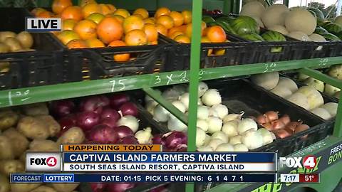 Captiva Island Farmers Market opens Tuesday - 7am live report