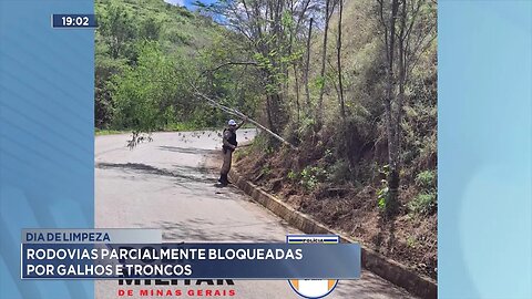 Dia de limpeza: Rodovias parcialmente bloqueadas por galhos e troncos .