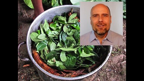 Ayahuasca- a Reply to Stefan Molyneux
