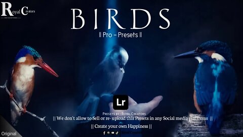 Birds Presets || Download Free || Royal Creators