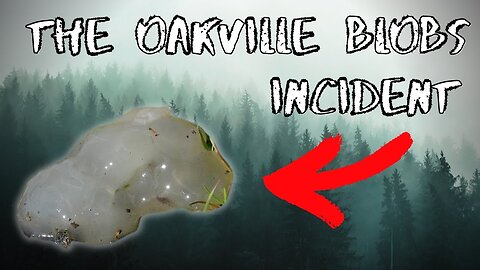 WATCH: The Strange Mystery of the Oakville Rain | by The Tape Library