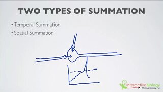 019 What is Summation (2 Types)