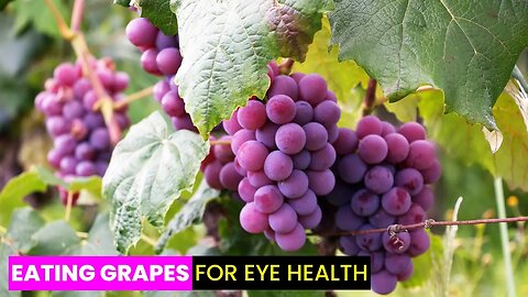 Grapes Boost Eye Health | Future Technology & Science News 356