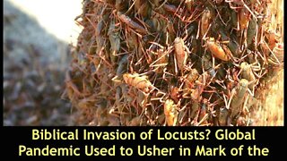 Biblical Invasion of Locusts, Will Global Pandemic Be Used to Usher in Mark of the Beast? Bob Kudla