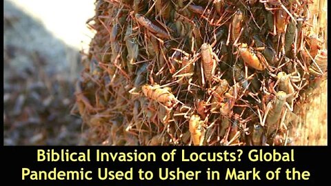 Biblical Invasion of Locusts, Will Global Pandemic Be Used to Usher in Mark of the Beast? Bob Kudla