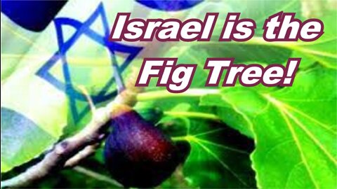 The Last Days Pt 432 - Israel is the Fig Tree!