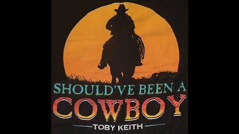 Toby Keith - Should've Been a Cowboy