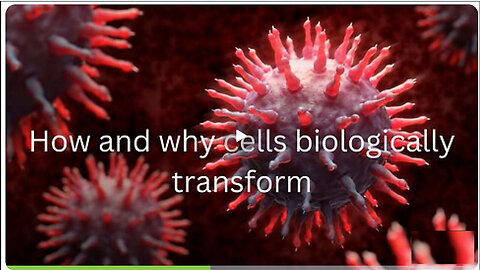 DR Robert Young -How & Why Body, Blood & Bacteria Change Their Form & Function