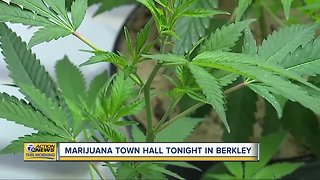 Berkley to hold town hall on marijuana
