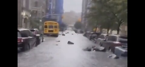 Trash Floating In Completely Flooded NYC