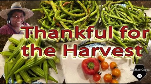 Progress and a Thankful Harvest