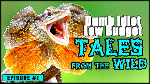 TALES FROM THE WILD (Episode #1) | funny animal voice overs