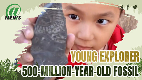 Five-Year-Old Boy Uncovers 500-Million-Year-Old Fossil On Family Hike