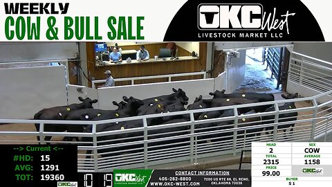 7/24/2023 - OKC West Weekly Cow & Bull Auction