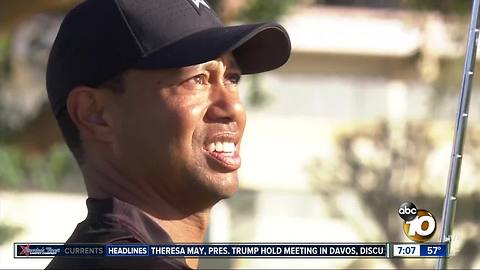 Tiger Woods brings back big crowds, big cheers