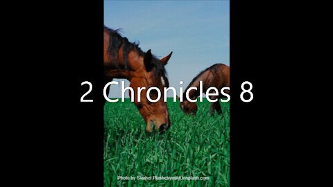 2 Chronicles 8 | KJV | Click Links In Video Details To Proceed to The Next Chapter/Book