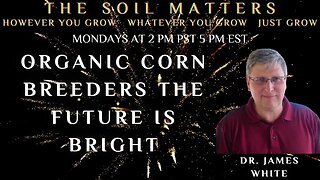 Organic Corn Breeders The Future Is Bright